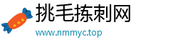 挑毛拣刺网